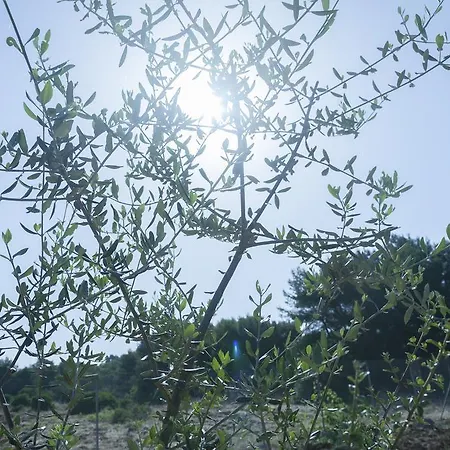 A Due Passi Dal Hotel Gallipoli